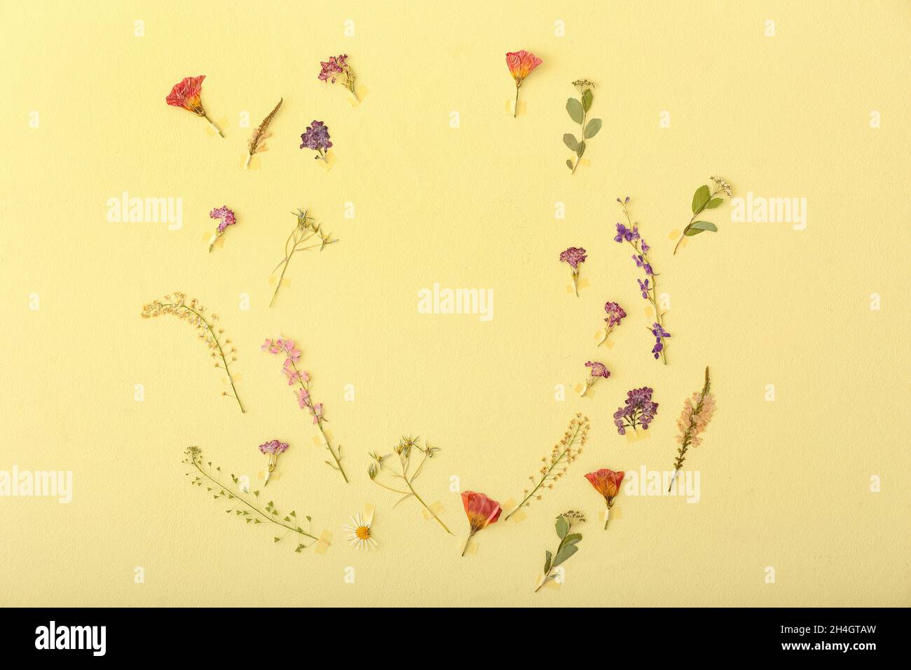 Composition avec fleurs séchées pressées sur fond beige Banque D'Images