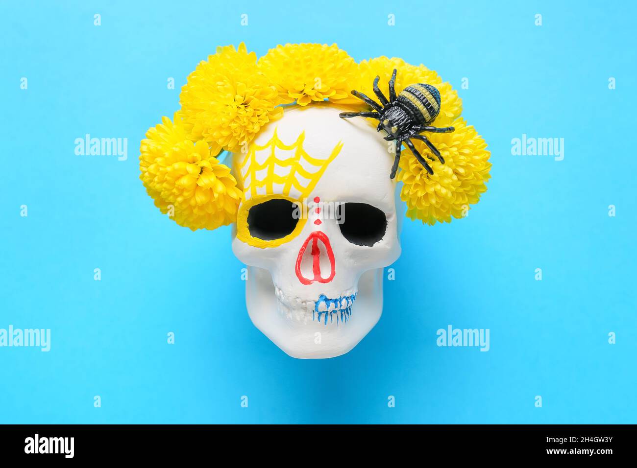 Crâne humain peint pour le jour des morts du Mexique (El Dia de Muertos) avec araignée et fleurs sur fond bleu Banque D'Images