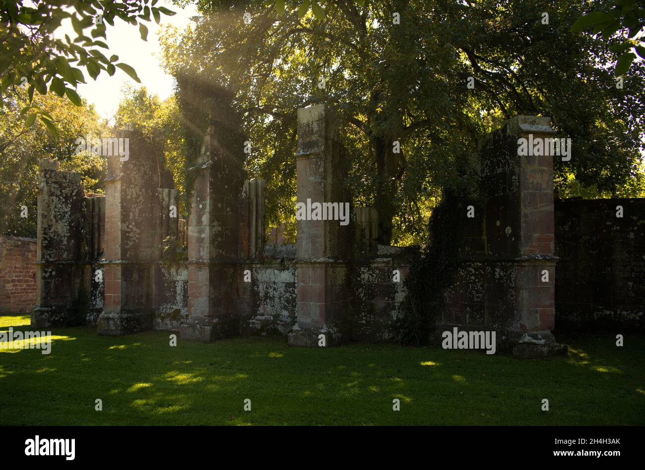 Ancien monastère de Saint-Pierre et Paul, ruines de l'église monastère, monastère de Hirsau, Forêt Noire, Bade-Wurtemberg, Allemagne Banque D'Images