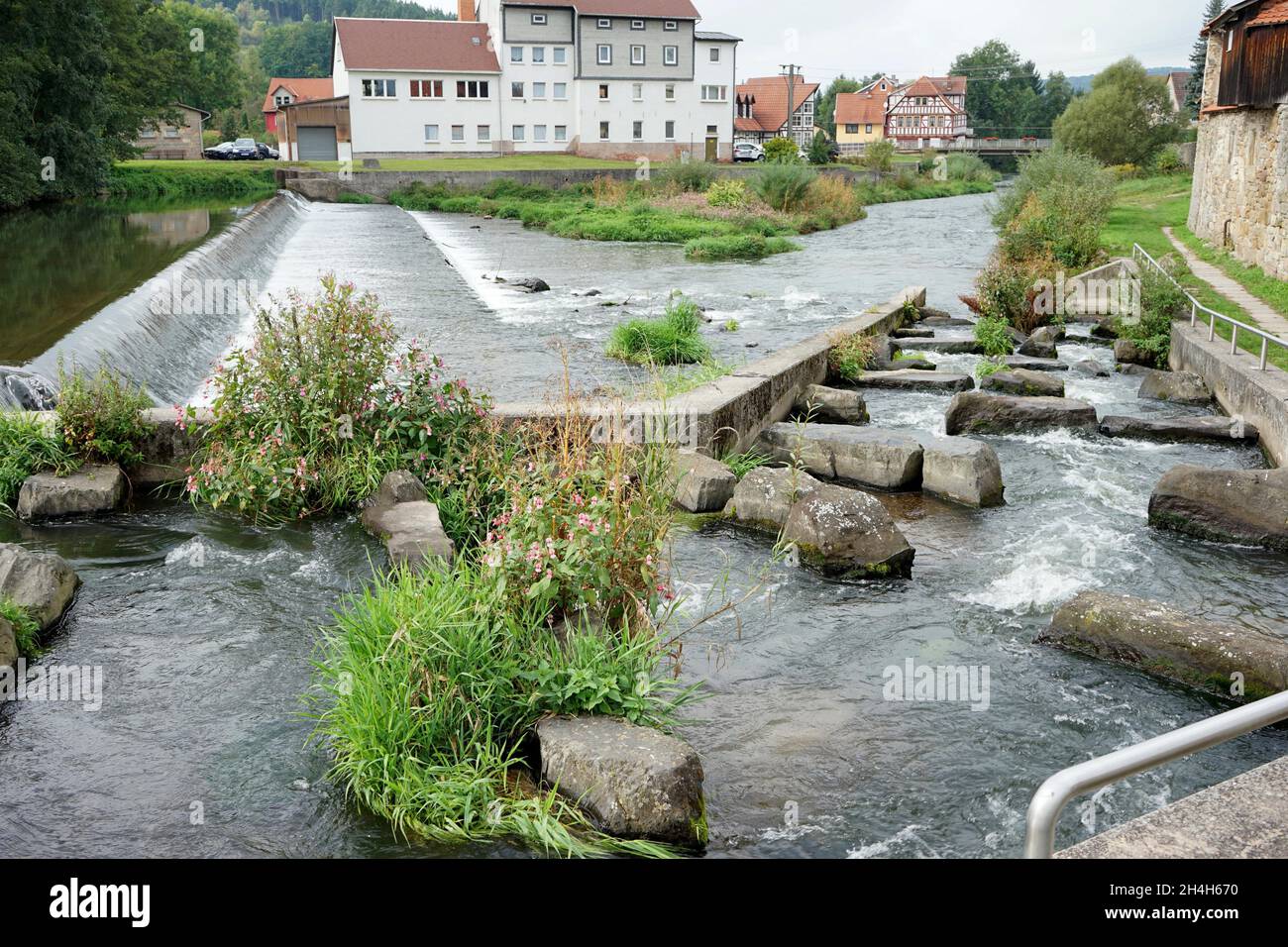 Échelle à poissons, Werra, moulin à pont, mur de la vieille ville, déversoir,Themar, Thuringe, Allemagne Banque D'Images
