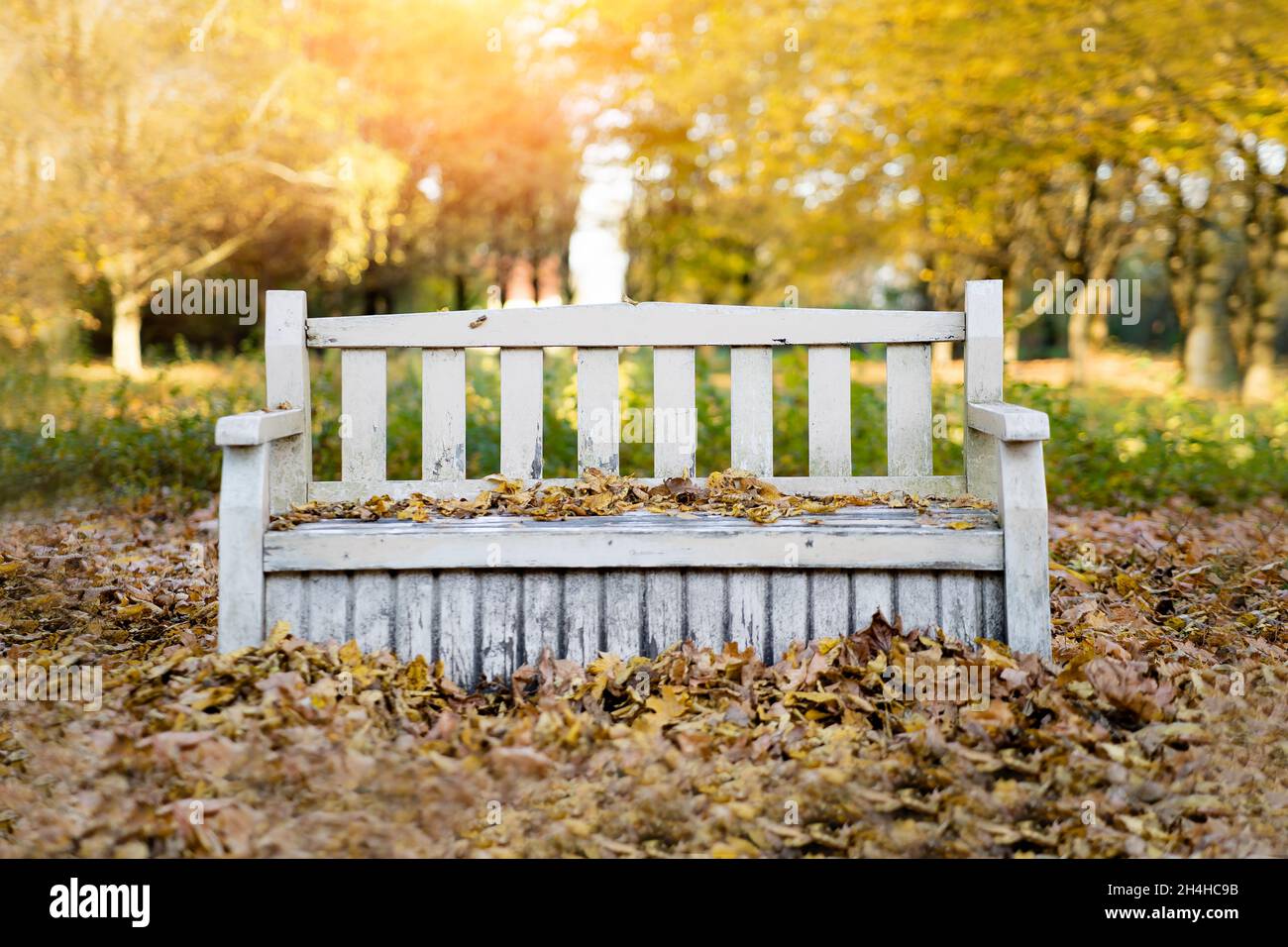 Banc blanc vintage dans le parc d'automne. Banque D'Images