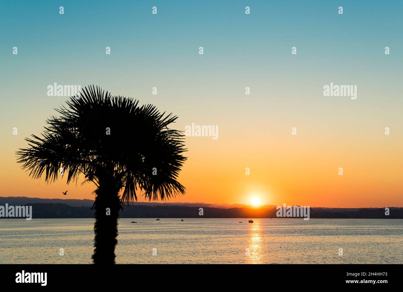 Coucher de soleil paysage se reflétant sur un lac avec la silhouette d'un palmier au premier plan, le ciel clair dans les tons pastel de l'orange et du bleu. Banque D'Images