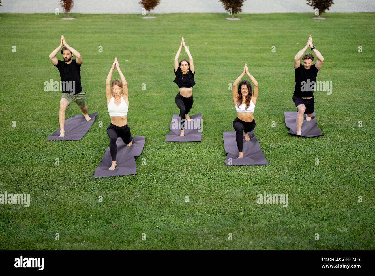 Personnes pratiquant le yoga sur des tapis de fitness sur la prairie Banque D'Images