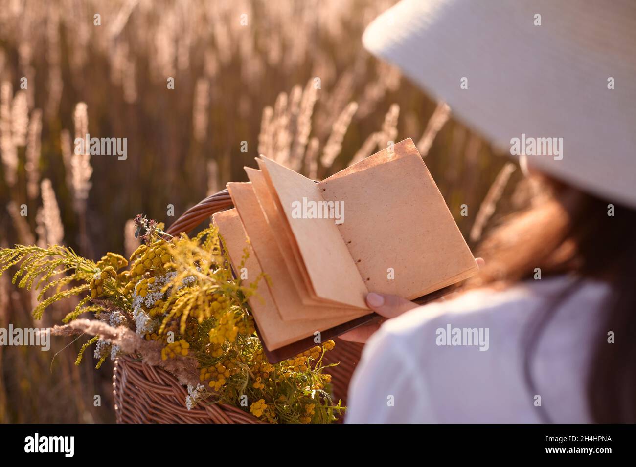 Herboriste avec un panier d'herbes et un carnet vintage à la main.Espace pour la description du texte.Concept de médecine alternative.Climat rural. Banque D'Images