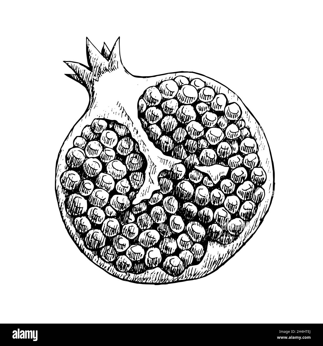 Illustration d'un croquis d'une grenade coupée.Fruits exotiques délicieux avec des vitamines.Dessin à main levée en noir et blanc Banque D'Images