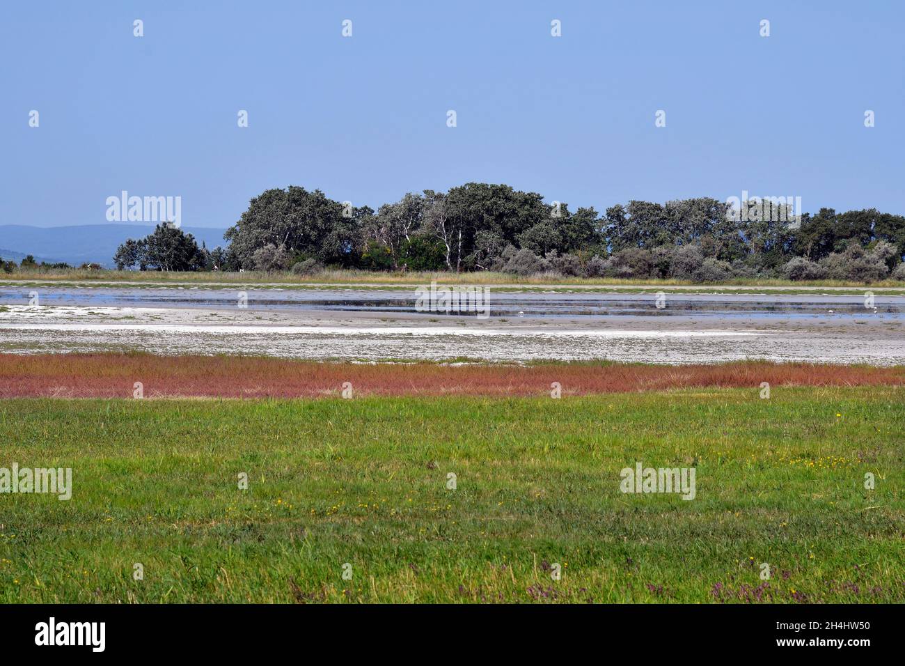 Autriche, parc national de Neusiedlersee-Seewinkel au Burgenland dans les basses terres de Pannonian, destination d'excursion populaire avec paysage de steppe, zones humides, Banque D'Images