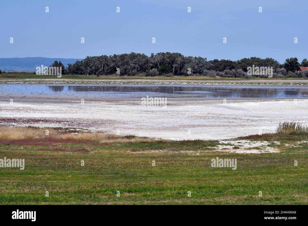 Autriche, parc national de Neusiedlersee-Seewinkel au Burgenland dans les basses terres de Pannonian, destination d'excursion populaire avec paysage de steppe, zones humides, Banque D'Images