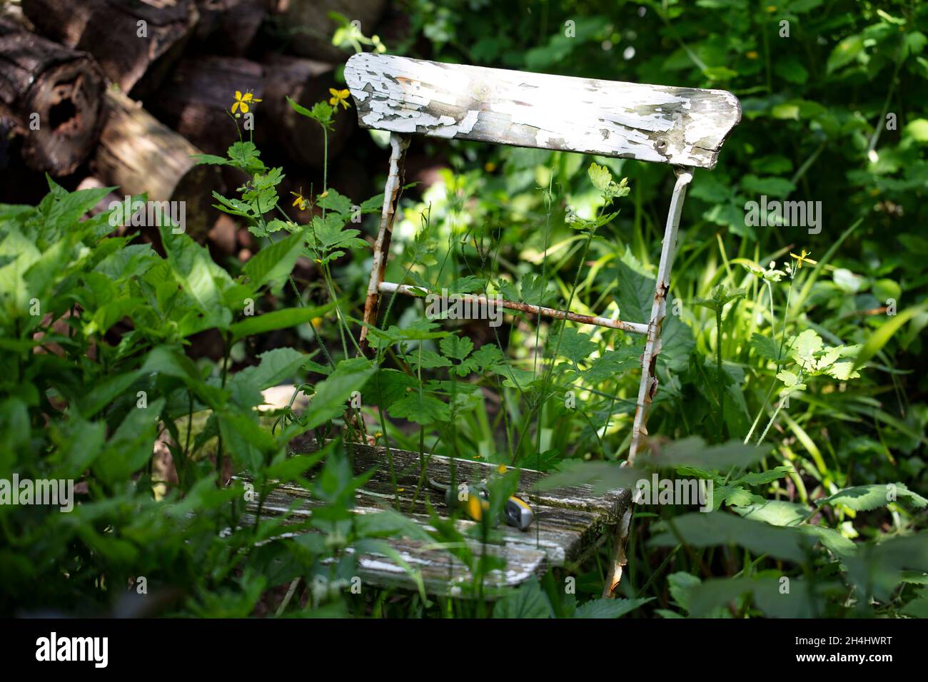 Alter, verwitterter, rostiger Stuhl, BEI dem der weiße Abgeblättert ist, in einem verwilderten Garten in NRW, Deutschland. Banque D'Images