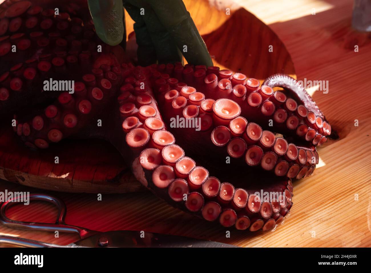 Poulpes tentacules préparés dans le style de pulpo a feira, typique de la Galice, Espagne. Banque D'Images