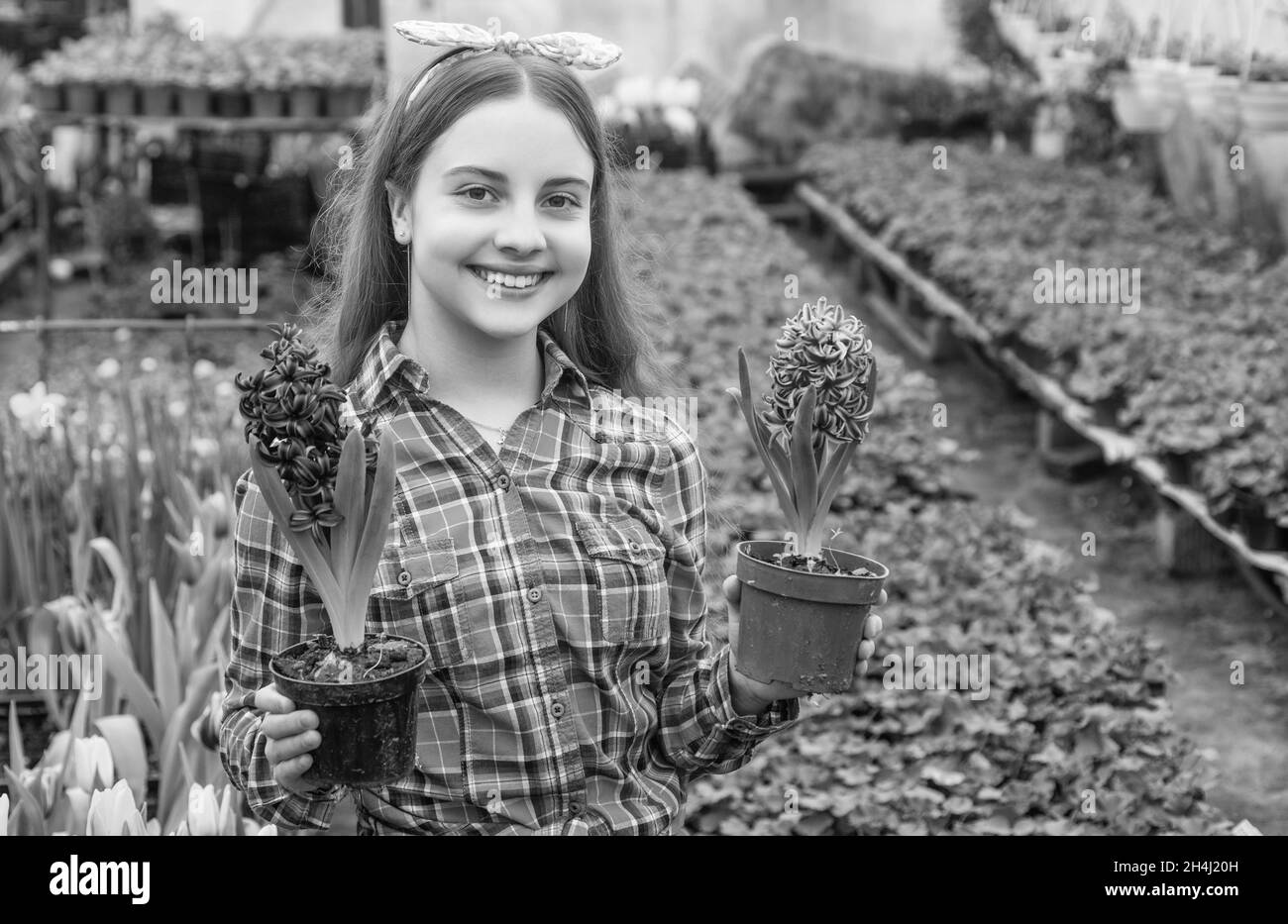 bonne adolescente fleuriste entretien pot plantes en serre, horticulture Banque D'Images