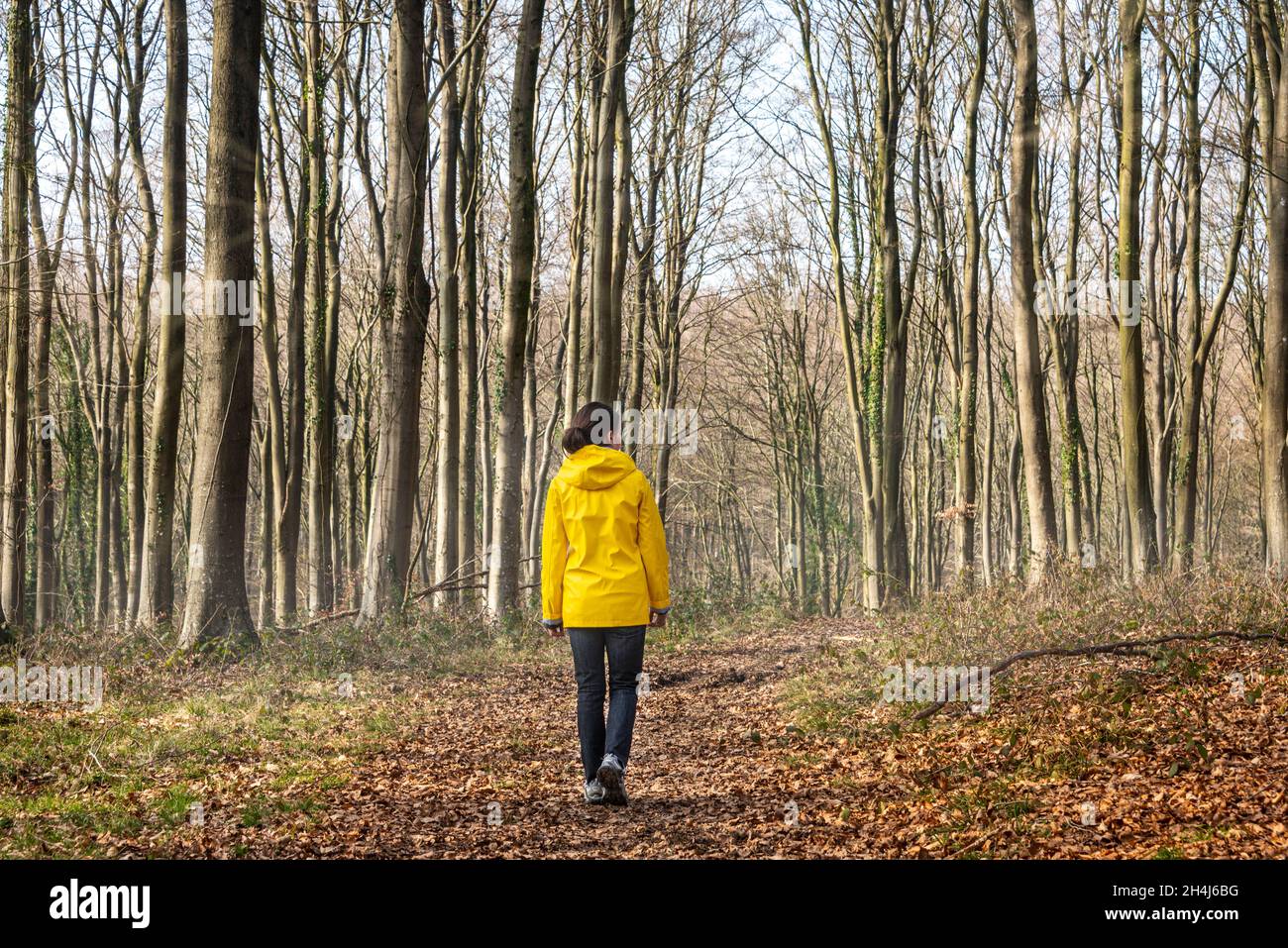 Femme portant un manteau jaune allant pour une promenade à la campagne.S'éloigner de tout. Banque D'Images