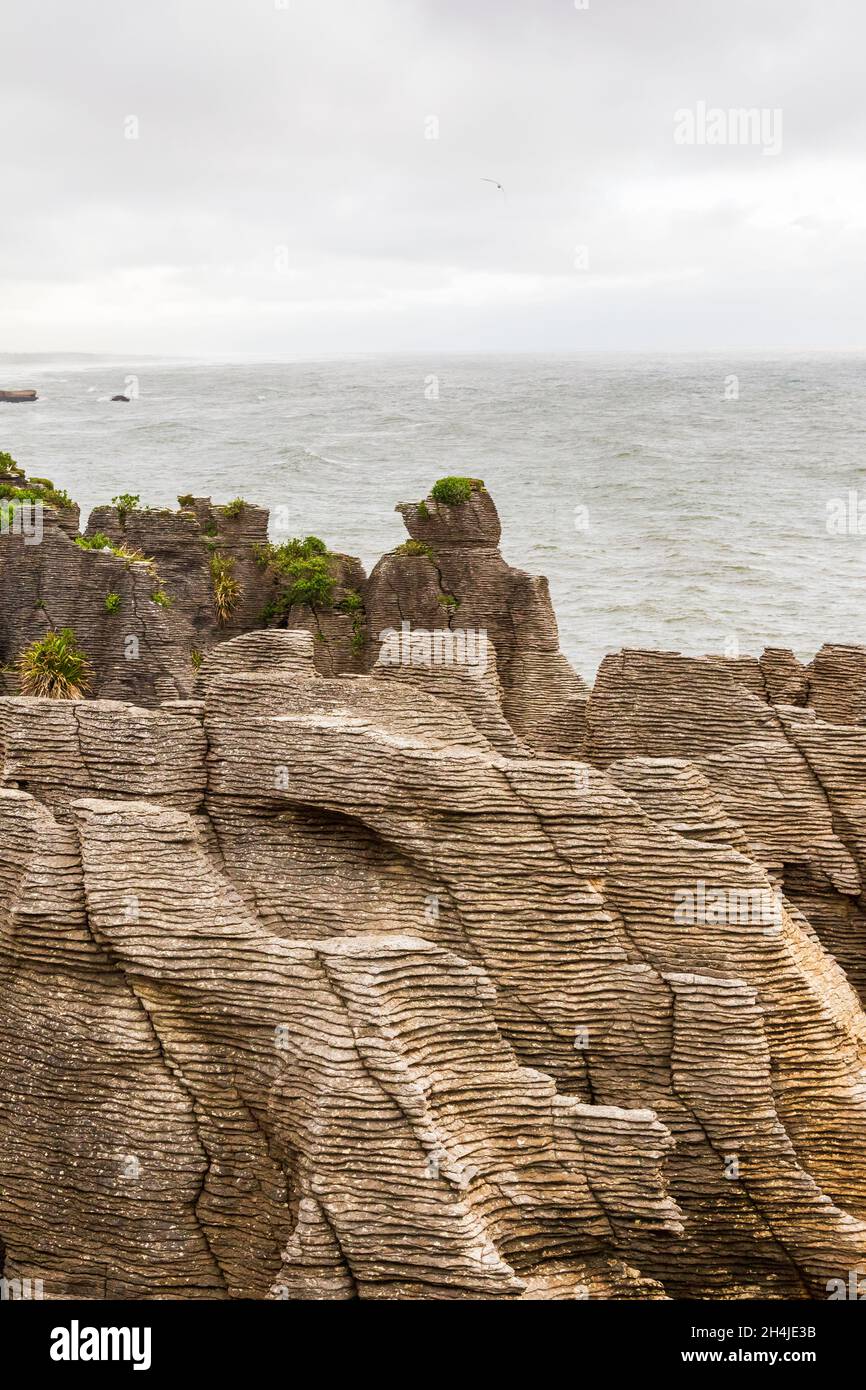 Rochers à crêpes.Des tas de crêpes en pierre sur le rivage.Île du Sud, Nouvelle-Zélande Banque D'Images