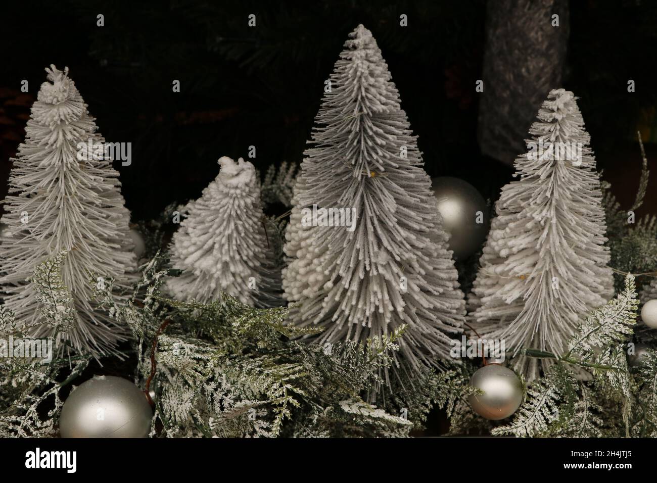 Gros plan sur de petits arbres de noël couverts de neige et des boules d'argent sur fond noir Banque D'Images