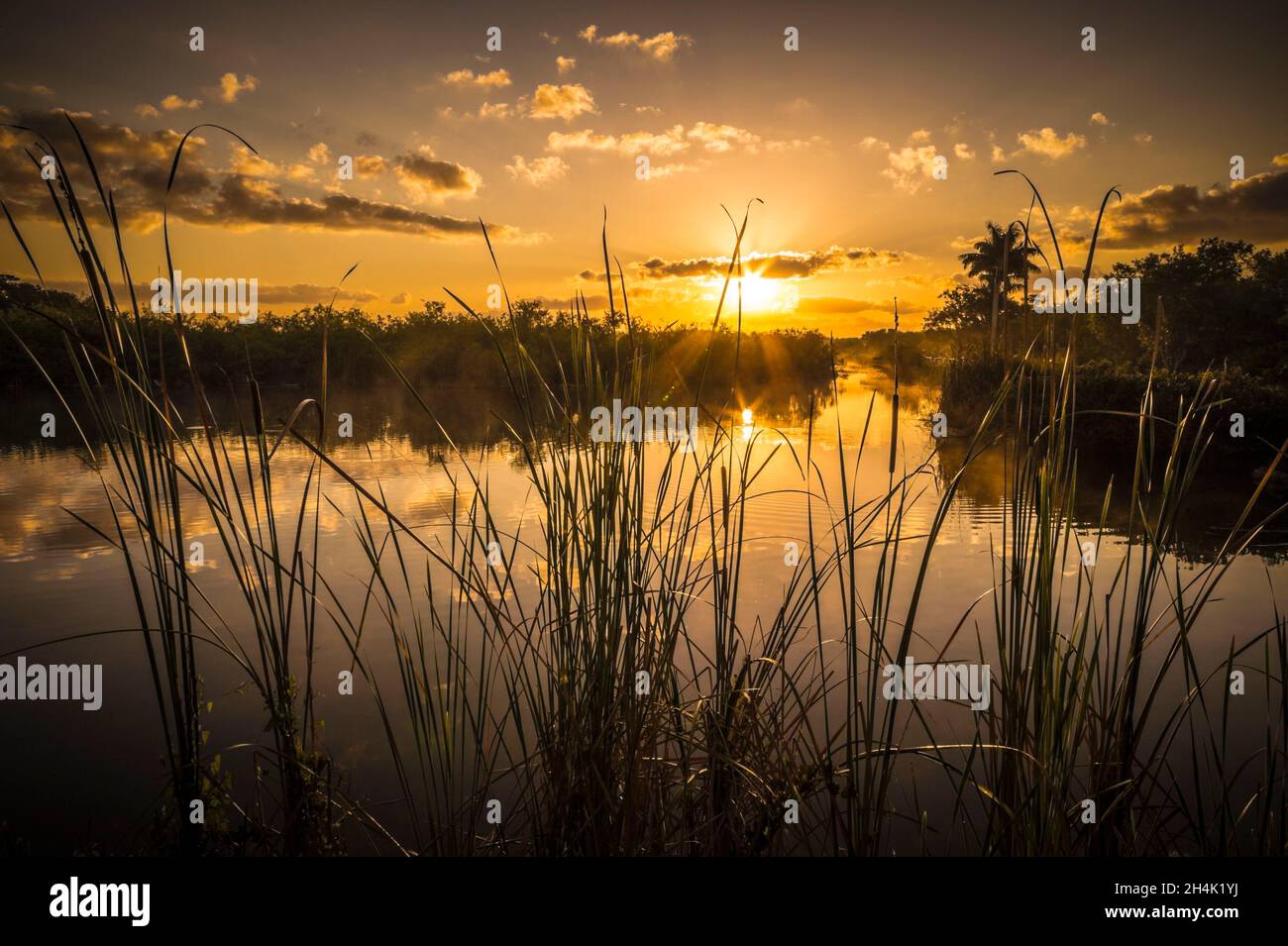 États-Unis, Floride, Parc national des Everglades classé au patrimoine mondial de l'UNESCO, Réserve de biosphère, zone humide d'importance internationale (Ramsar) au coucher du soleil Banque D'Images