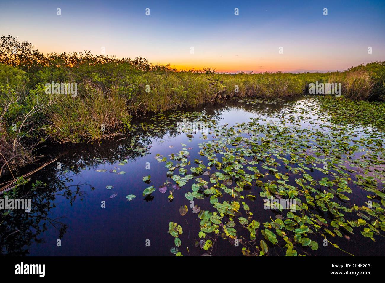 États-Unis, Floride, Parc national des Everglades classé au patrimoine mondial de l'UNESCO, Réserve de biosphère, zone humide d'importance internationale (Ramsar) au coucher du soleil Banque D'Images