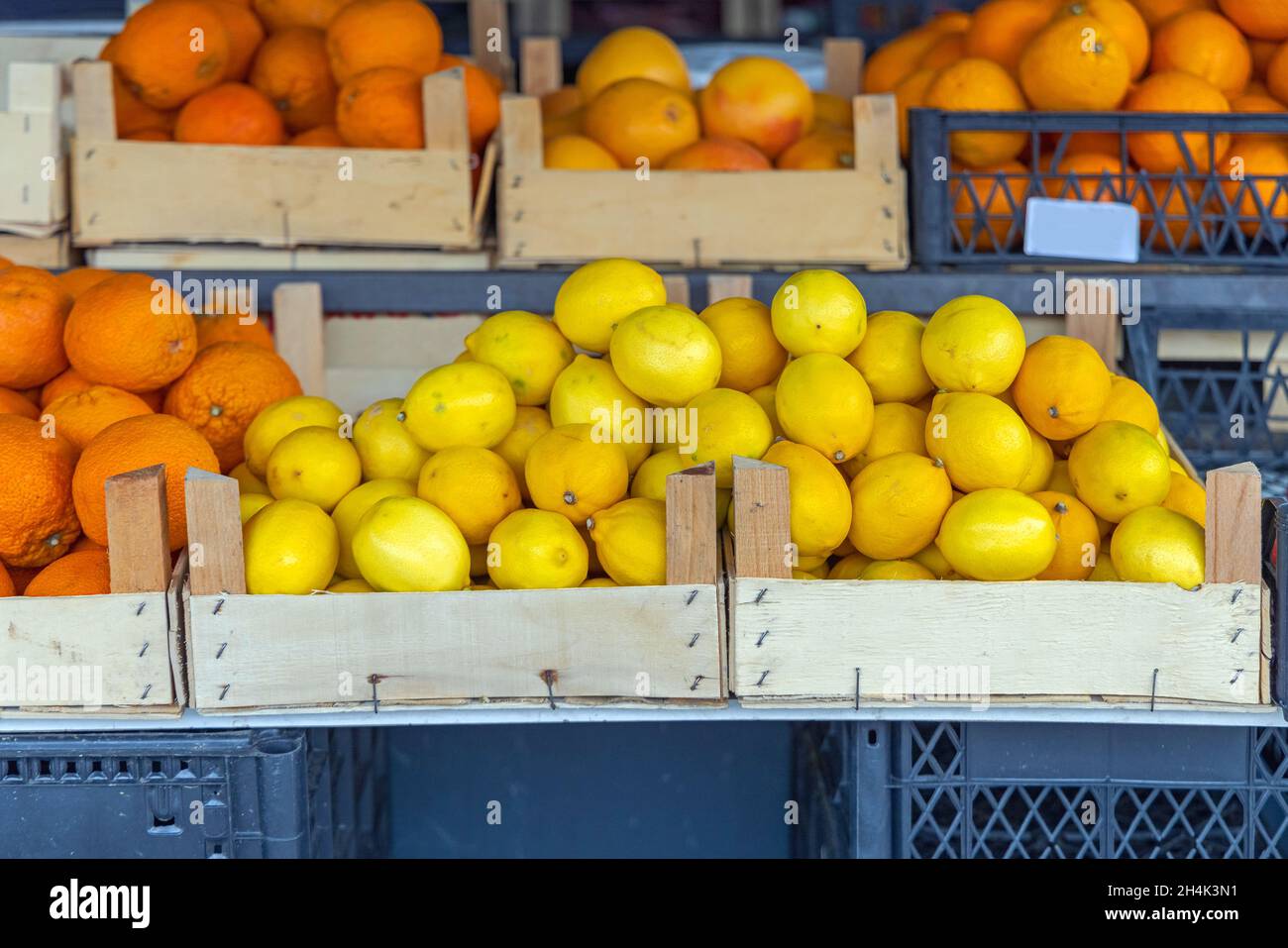 Citrons les agrumes produisent au marché agricole de Sall Banque D'Images