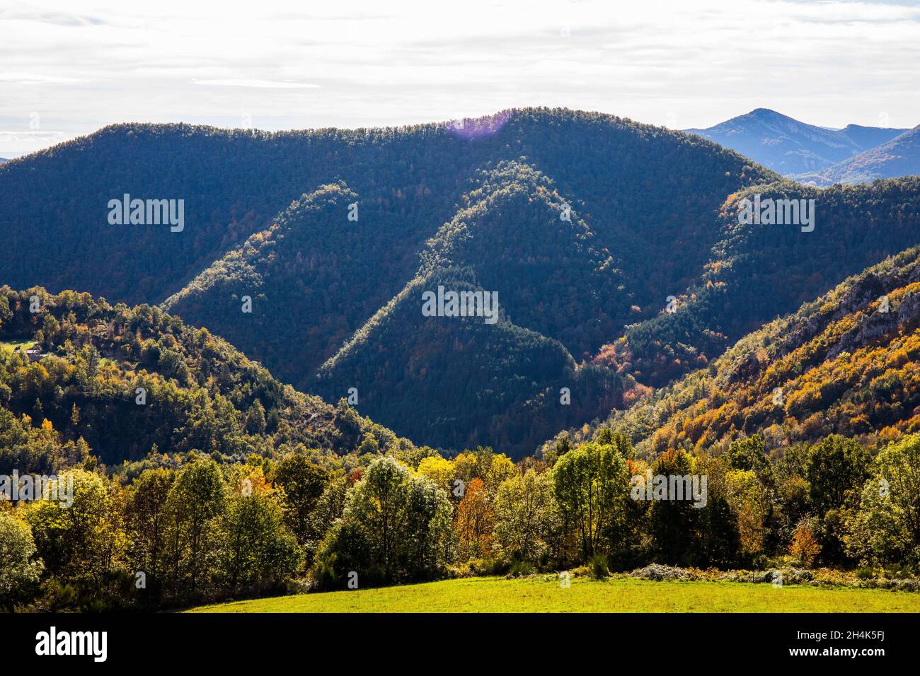 Paysage d'automne, Rocabruna, la Alta Garrotxa, Gérone, Espagne Banque D'Images