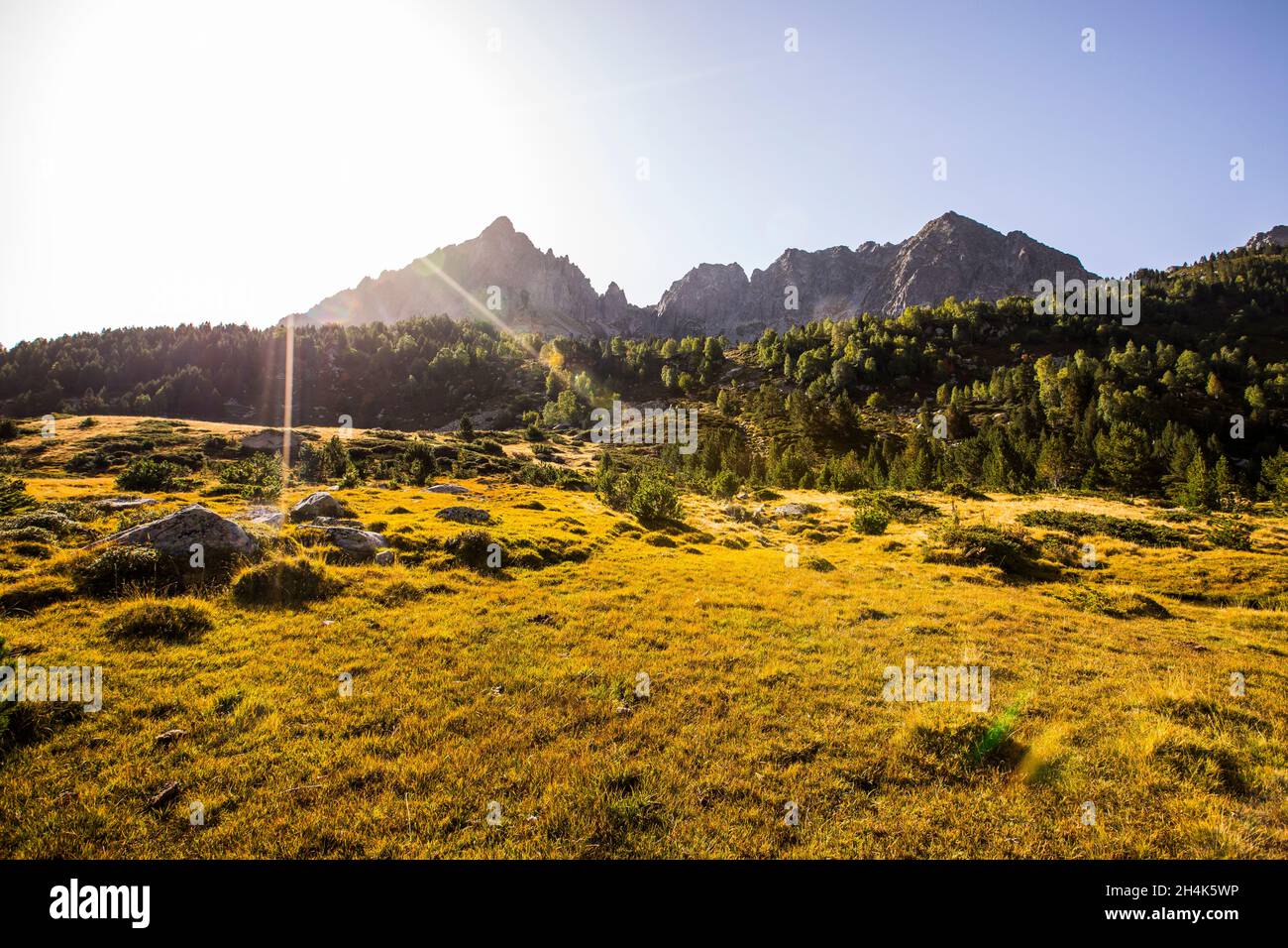 Paysage de montagne, vallée de Campcardos, la Cerdanya, Pyrénées, France Banque D'Images