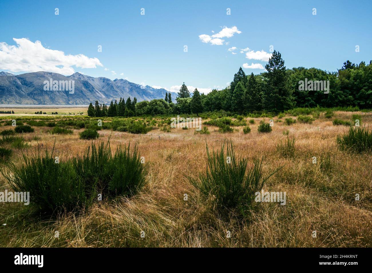 Lieux de tournage du seigneur des anneaux Banque de photographies et d’images à haute résolution