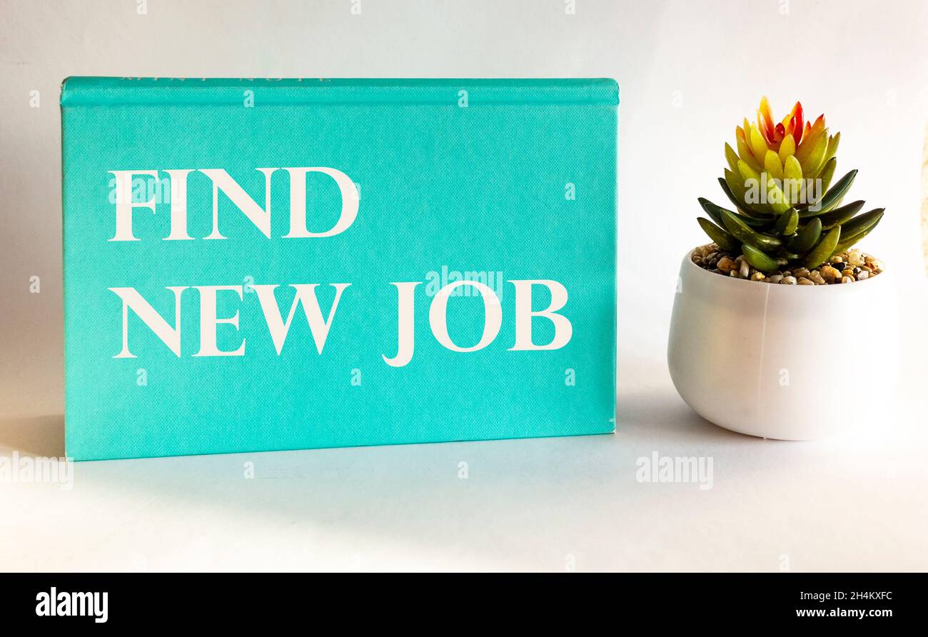 Trouvez votre nouveau travail, écrit dans un carnet vert à côté d'une fleur de cactus sur un fond blanc. Banque D'Images