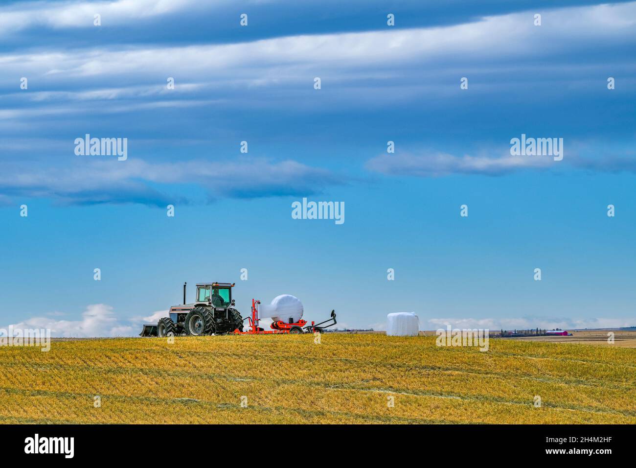 Agriculteur utilisant une presse à balles de foin de liage, Alberta, Canada Banque D'Images