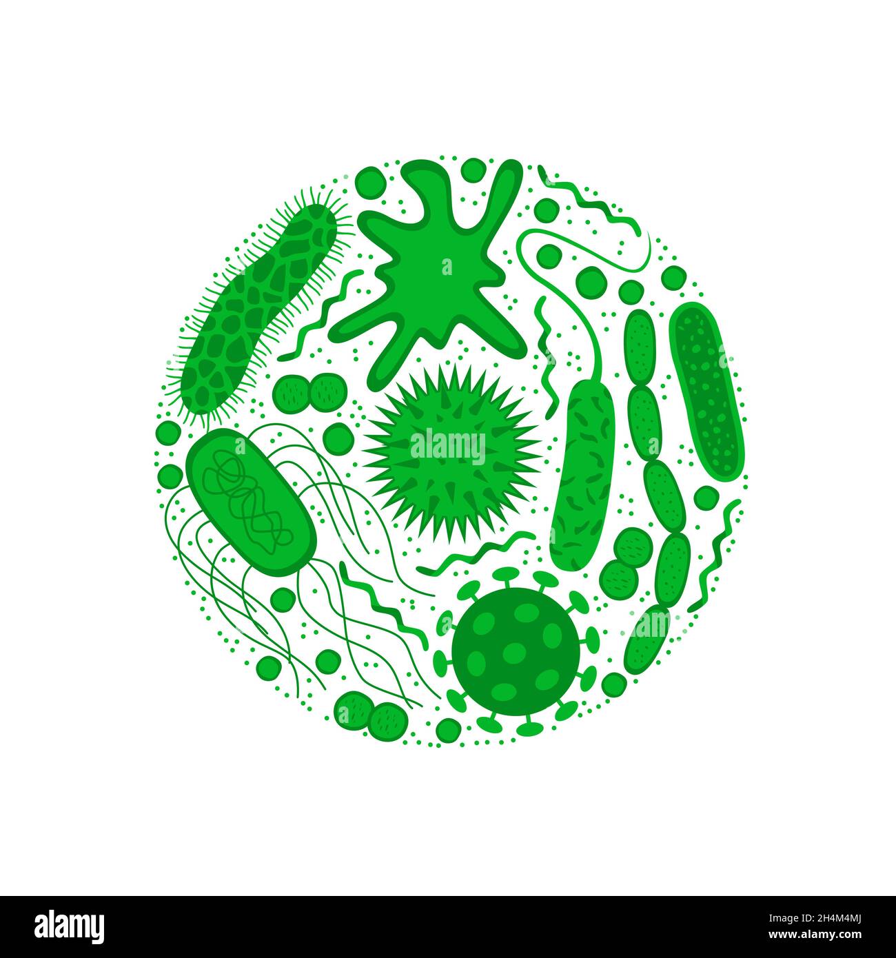 Germes et bactéries isolés sur fond blanc.Forme de la cellule bactérienne : cocci, bacilles, spirilla.Illustration vectorielle de style plat. Illustration de Vecteur