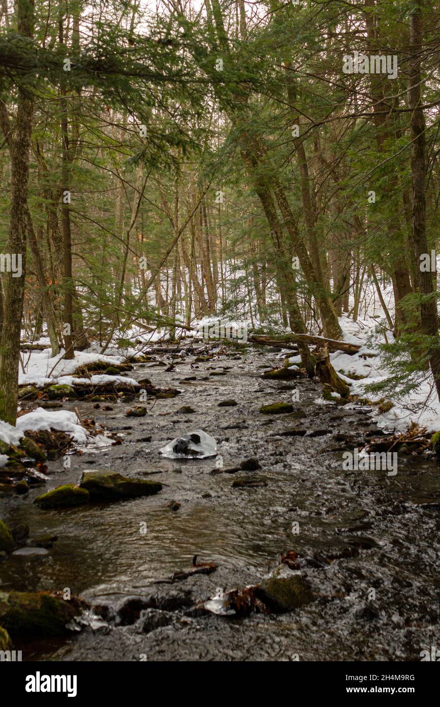 Arrière-plan flou de la rivière au milieu de la forêt avec de la neige. Banque D'Images
