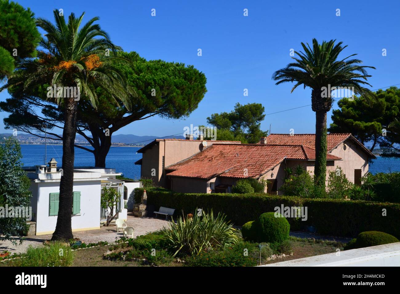 Maisons sous les palmiers à Hyères, Provence-alpes-côte d'Azur, France Banque D'Images