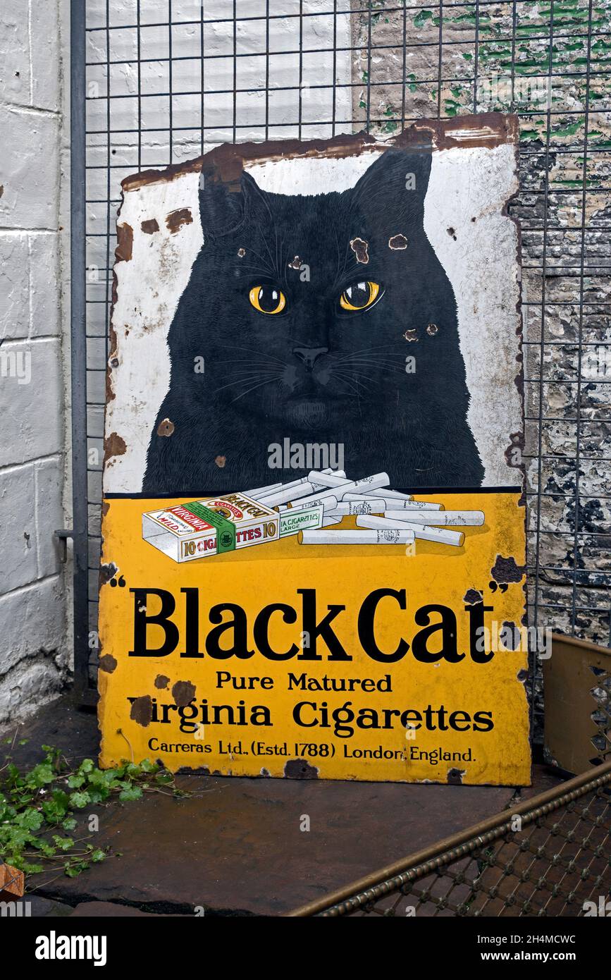 Affiche publicitaire vintage pour les cigarettes Black Cat devant un magasin d'antiquités dans la nouvelle ville d'Édimbourg. Banque D'Images
