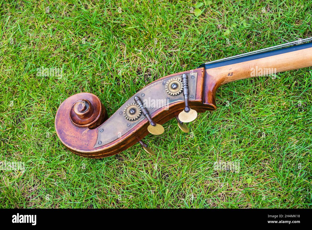 Contrabass sur fond d'herbe verte.L'instrument de musique se compose d'une table d'écoute à deux trous, d'un cou avec un fingerboard sans fretless Banque D'Images