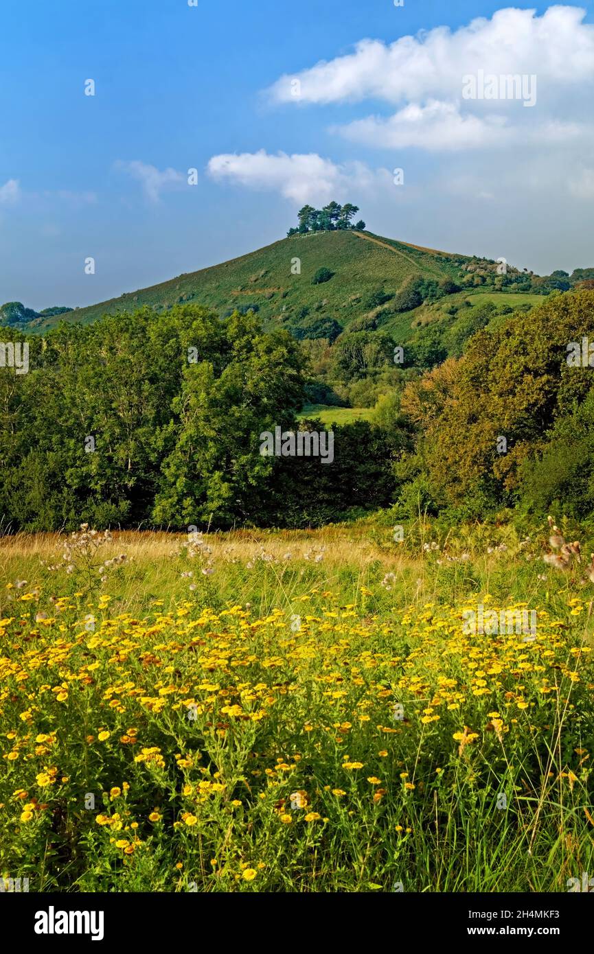 Dorset UK,,Symondsbury,Colmers Hill Banque D'Images