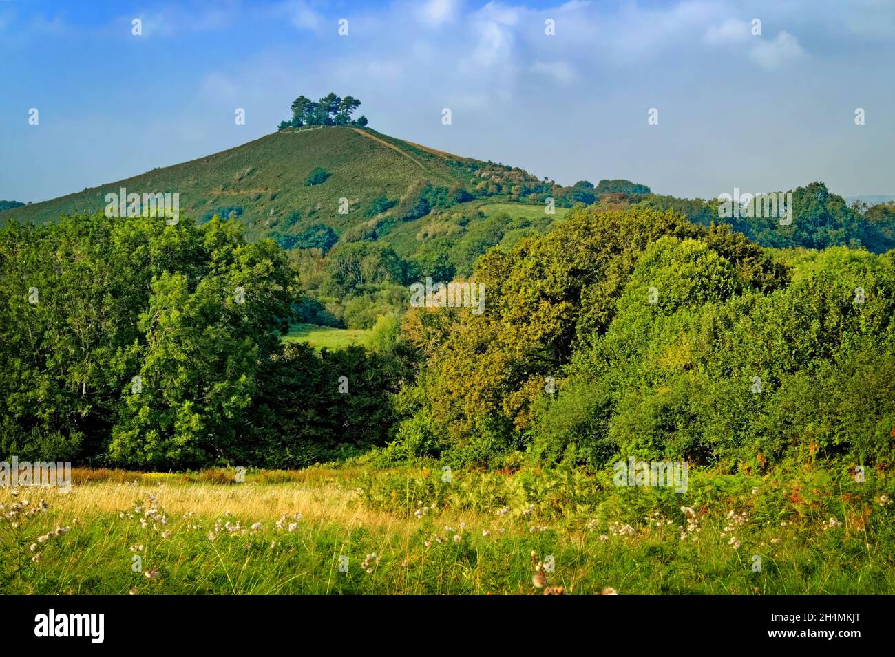 Dorset UK,,Symondsbury,Colmers Hill Banque D'Images
