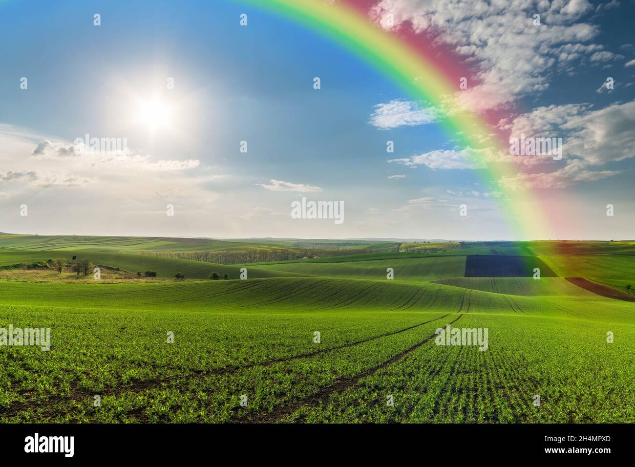 Paysage agricole avec des champs verts sur les collines et l'arc-en-ciel, zone de ferme Banque D'Images