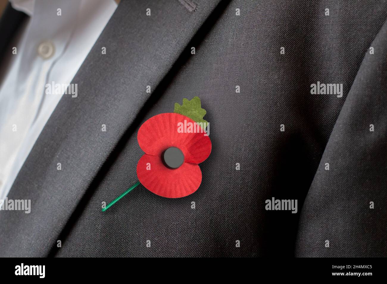 Fleur de pavot du jour du souvenir.Concept : jour du souvenir. Banque D'Images