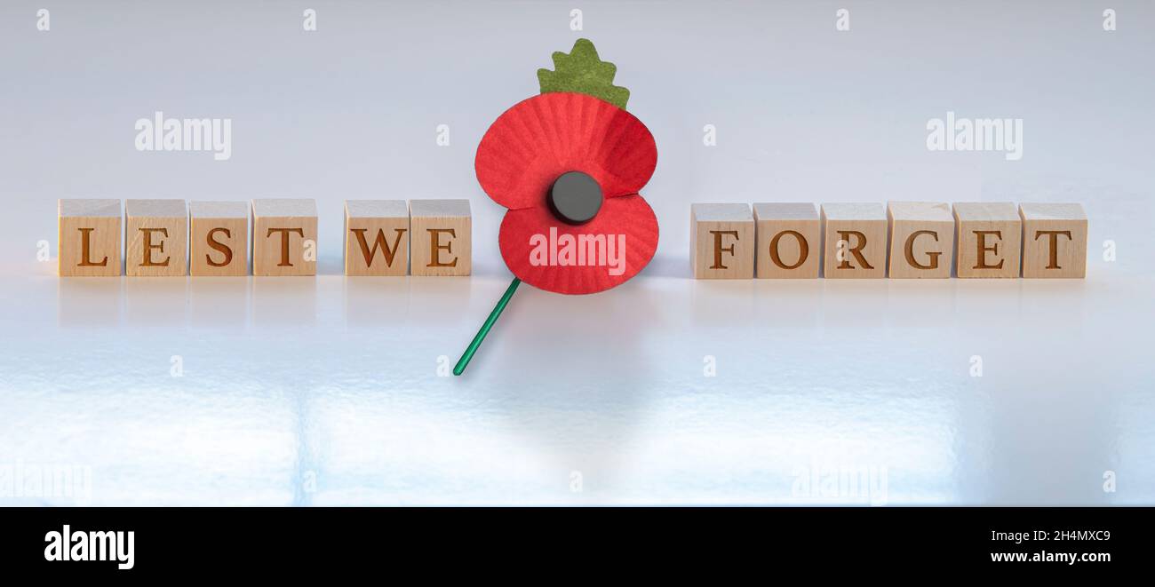 Ne l'oublions pas, texte sur des blocs de bois avec une fleur de pavot. Concept : jour du souvenir. Banque D'Images