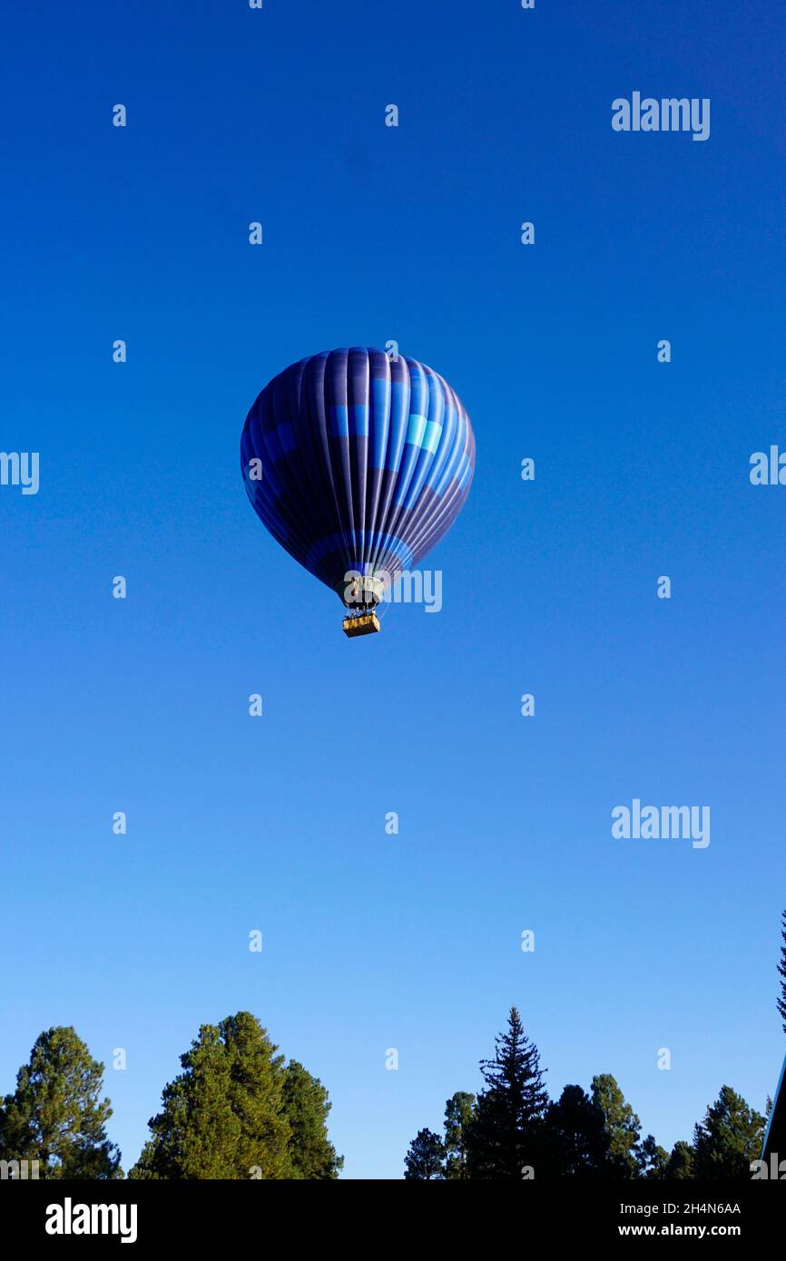 Ballon d'air chaud au-dessus des sommets des arbres Banque D'Images