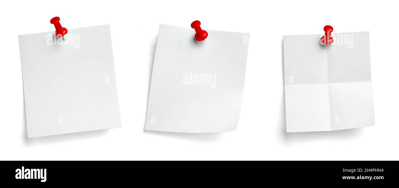 notez le message « punaise » sur papier rouge blanc noir Banque D'Images