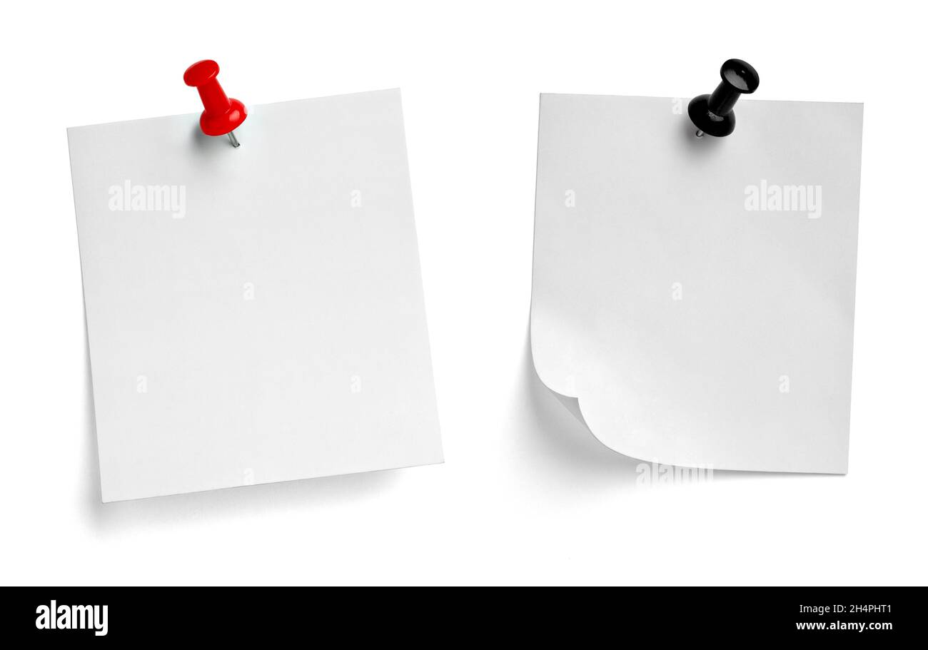 notez le message « punaise » sur papier rouge blanc noir Banque D'Images