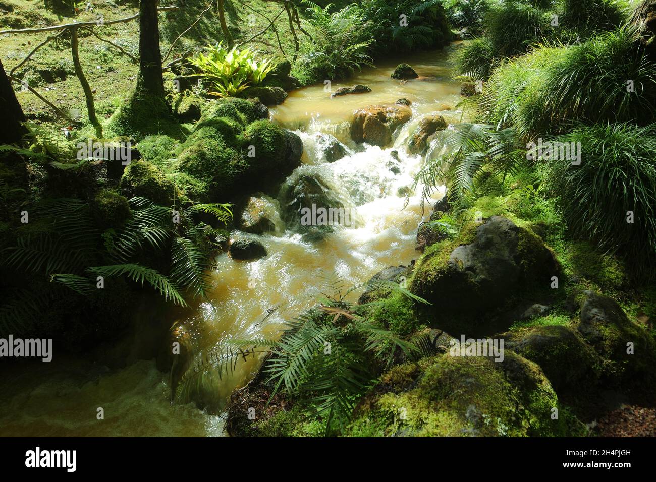 petite cascade avec cascades à fournas sur les açores Banque D'Images