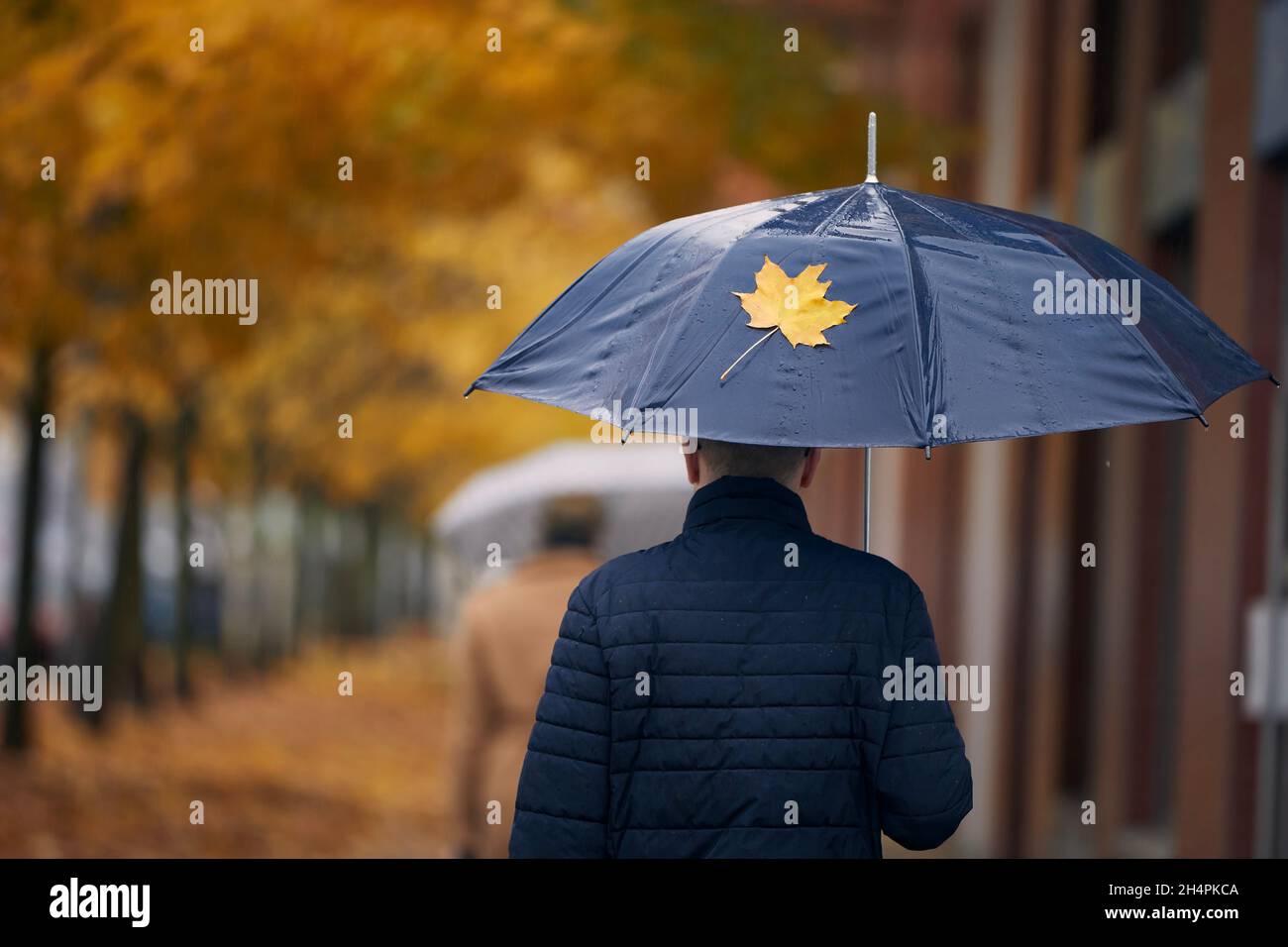 Homme avec un parapluie marchant sous des érables jaunes dans la rue de la ville pendant la journée pluvieuse d'automne.Saison d'automne à Prague, République tchèque. Banque D'Images