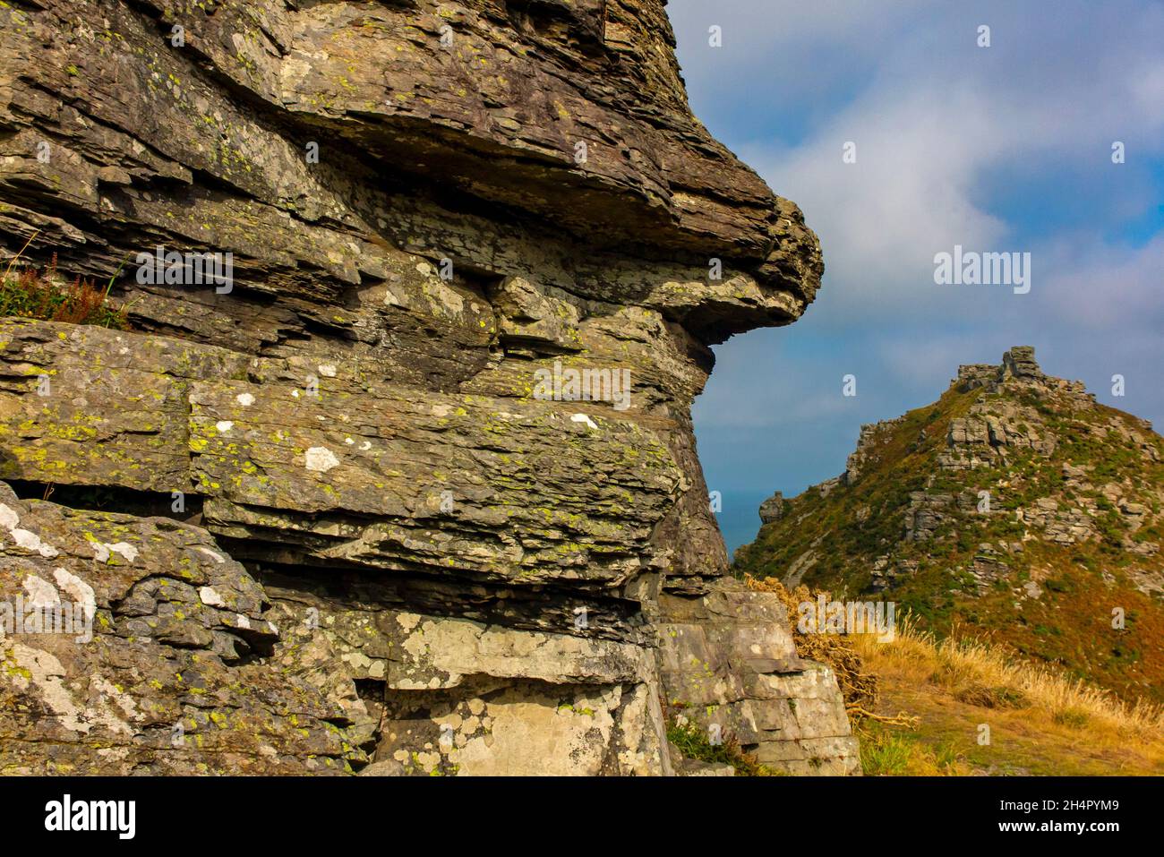 Jack Rugged à la Valley of Rocks près de Lynmouth dans le parc national d'Exmoor North Devon Angleterre Banque D'Images