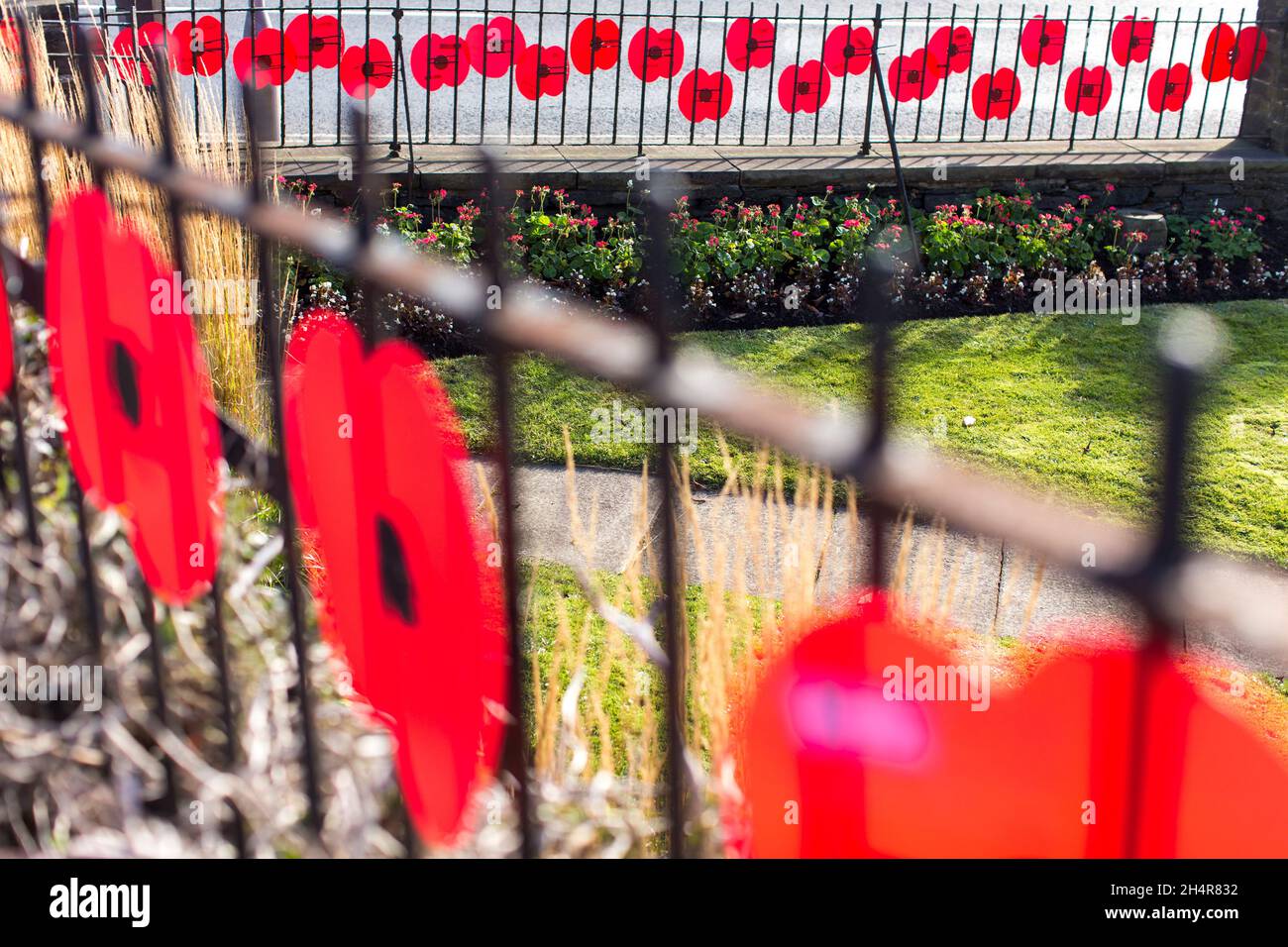 Monuments commémoratifs de la Journée du coquelicot au mémorial de guerre de Shelf, West Yorkshire, Angleterre, Royaume-Uni.Le jour du souvenir (également connu sous le nom de jour du coquelicot en raison de la tradition de porter un coquelicot souvenir) est un jour commémoratif observé dans les États membres du Commonwealth depuis la fin de la première Guerre mondiale pour honorer les membres des forces armées qui sont morts dans l'exercice de leurs fonctions.Suivant une tradition inaugurée par le roi George V en 1919, la journée est également marquée par des souvenirs de guerre dans de nombreux pays non membres du Commonwealth.Dans la plupart des pays, le jour du souvenir est observé le 11 novembre pour rappeler la fin des hostilités de la première Guerre mondiale. Banque D'Images