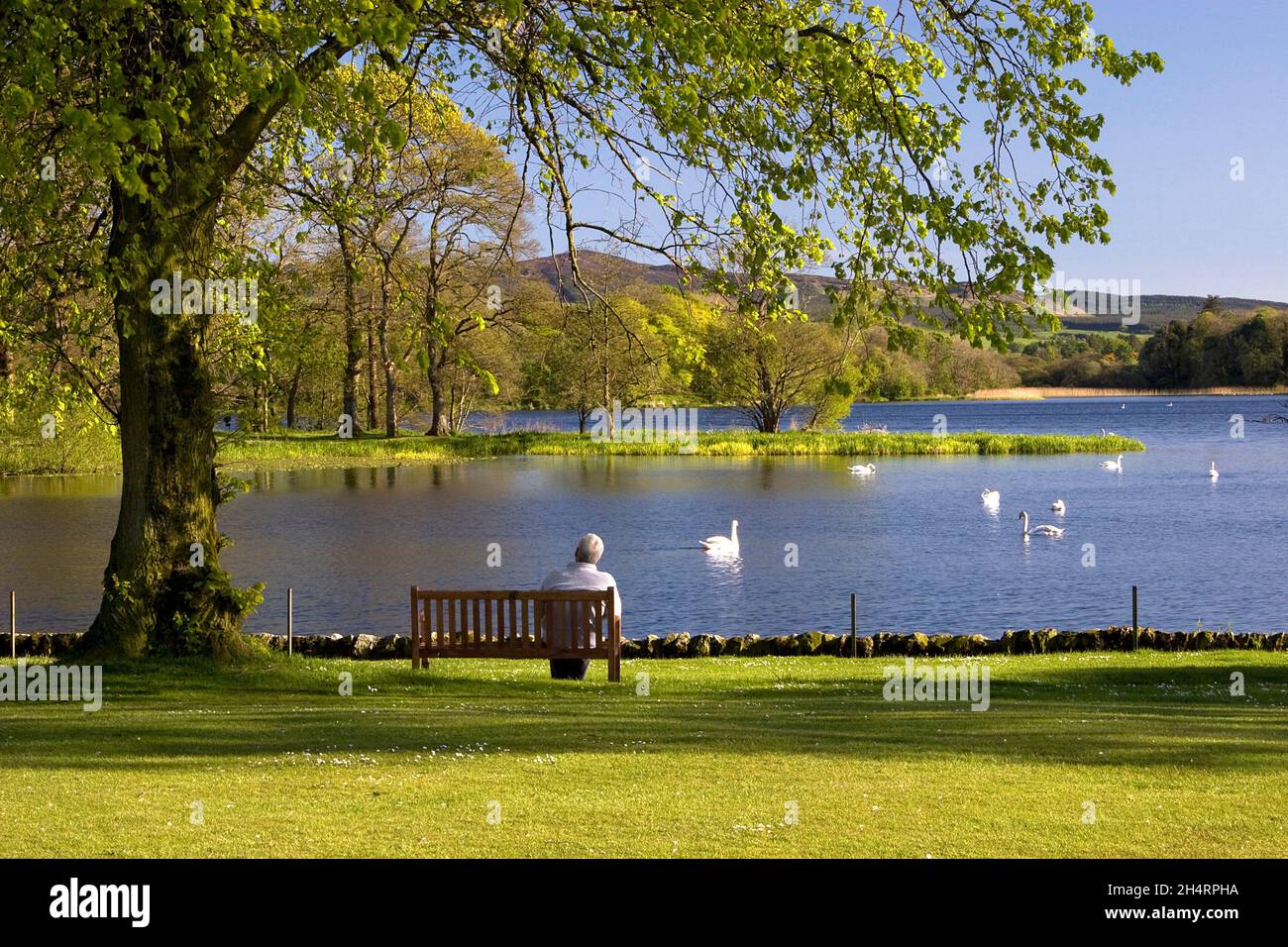 Le parc et le lac Carlingwalk, Castle Douglas, Dumfries & Galloway, Écosse Banque D'Images