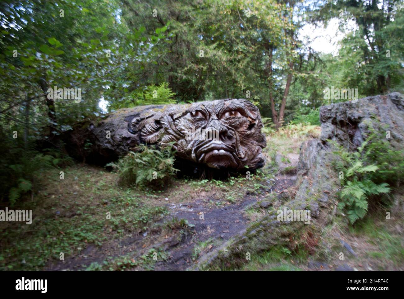 Green Man Tree Spirit sculpture sculptée dans Douglas Fir par Tommy Craggs à Cragside, Rothbury, Northumberland, Angleterre, Royaume-Uni,Royaume-Uni Banque D'Images