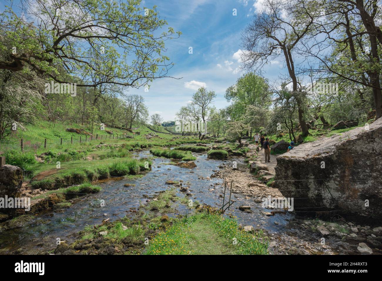 Malham Beck, vue d'été de Malham Beck, un ruisseau pittoresque qui s'étend au sud de Malham Cove à travers la pittoresque Malhamdale, North Yorkshire Dales, Angleterre, Royaume-Uni Banque D'Images