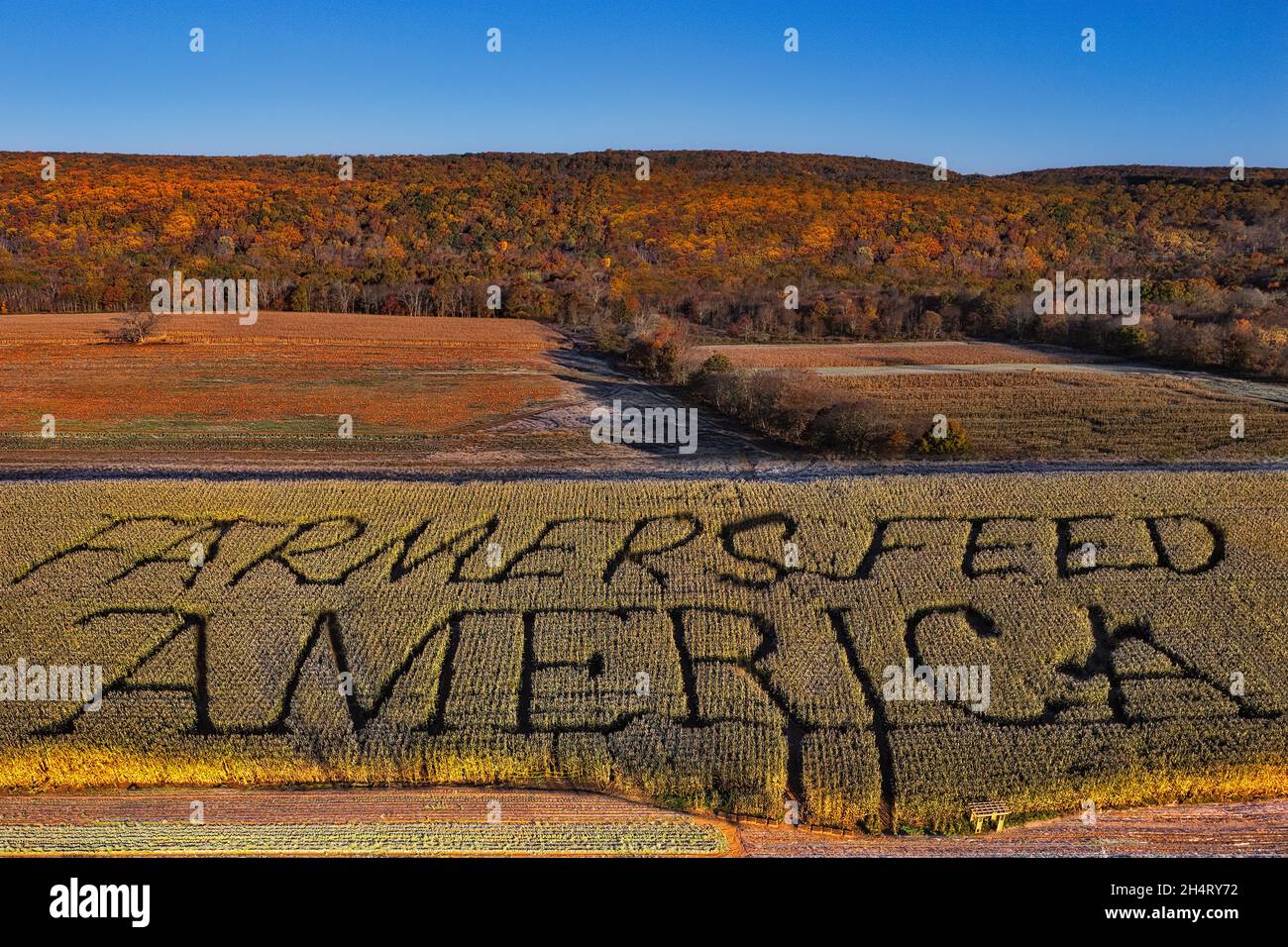 Farmers Feed America Patch - vue aérienne du panneau les agriculteurs se nourrir de l'Amérique dans un labyrinthe de maïs, avec potiron patch et montagne en arrière-plan. Banque D'Images