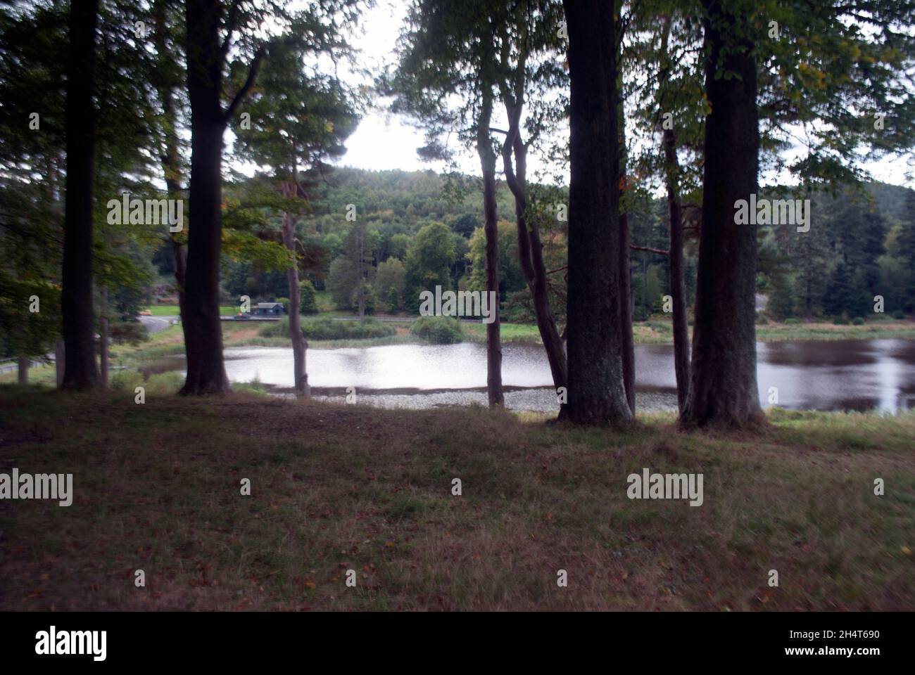 Lac avec arbres à Cragside, Rothbury, Northumberland, Angleterre, Royaume-Uni,Royaume-Uni Banque D'Images