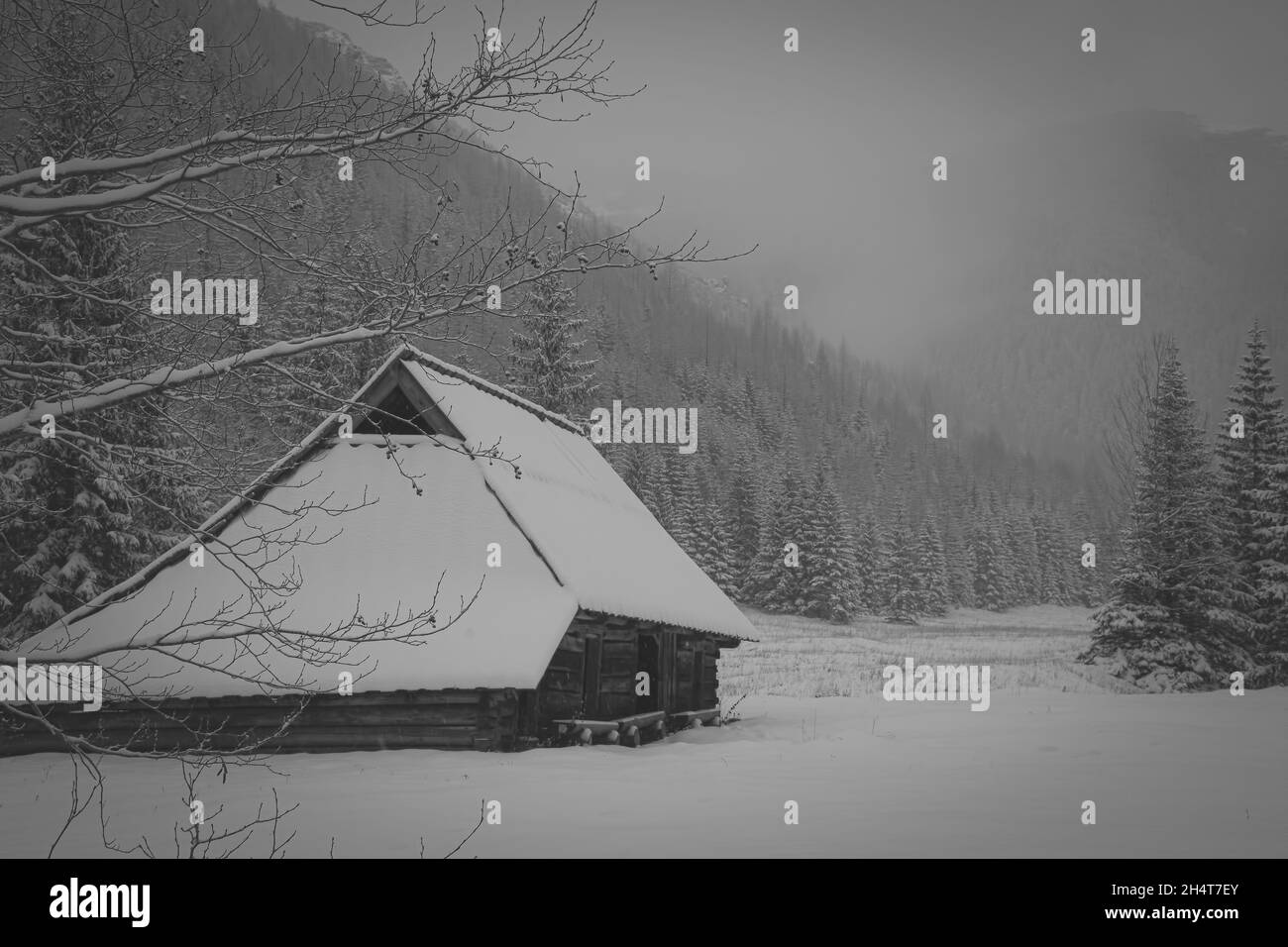Belle vue en niveaux de gris de l'hiver et des montagnes et maisons enneigées Banque D'Images