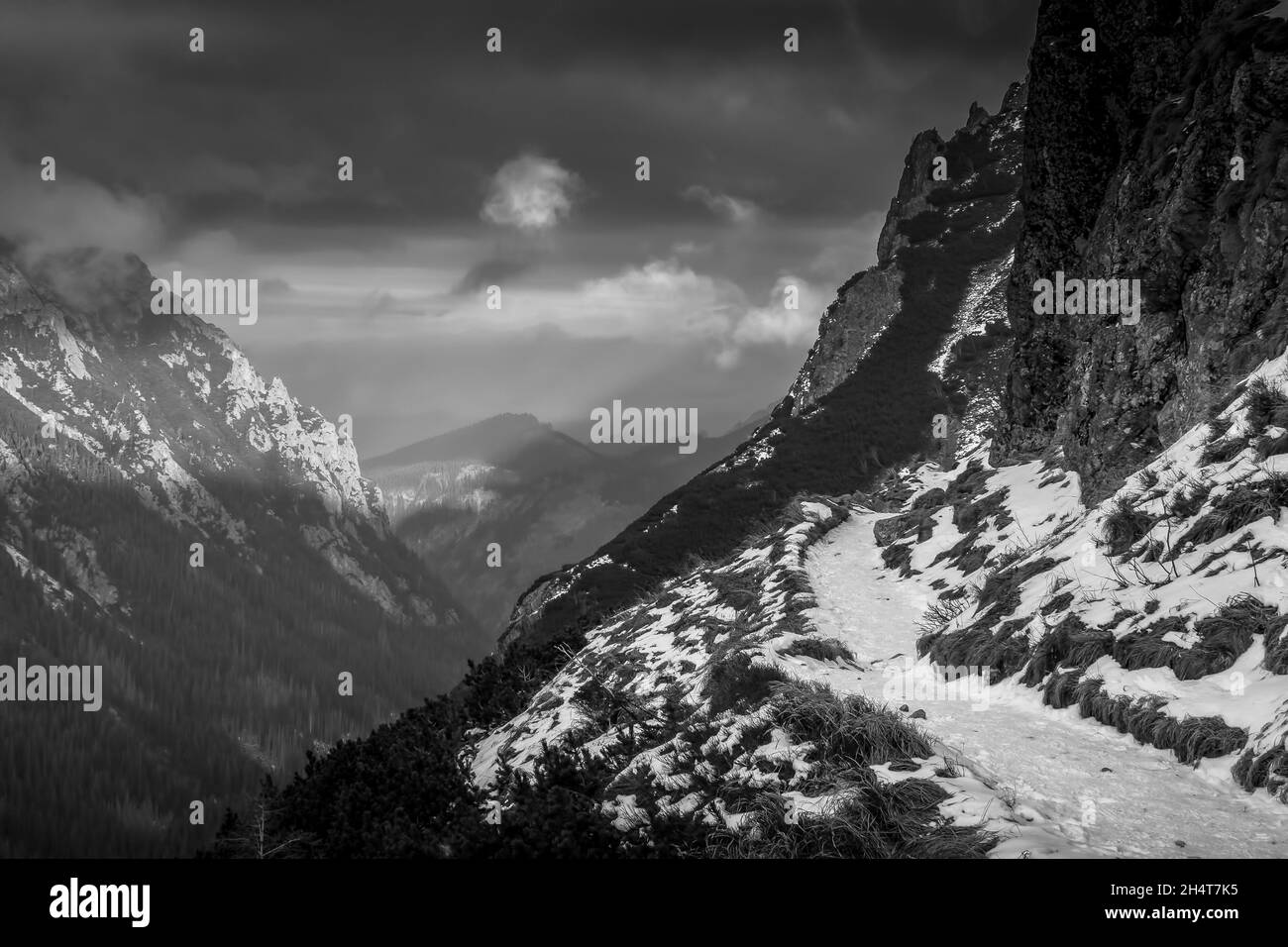 Belle vue en niveaux de gris de l'hiver et des montagnes enneigées Banque D'Images