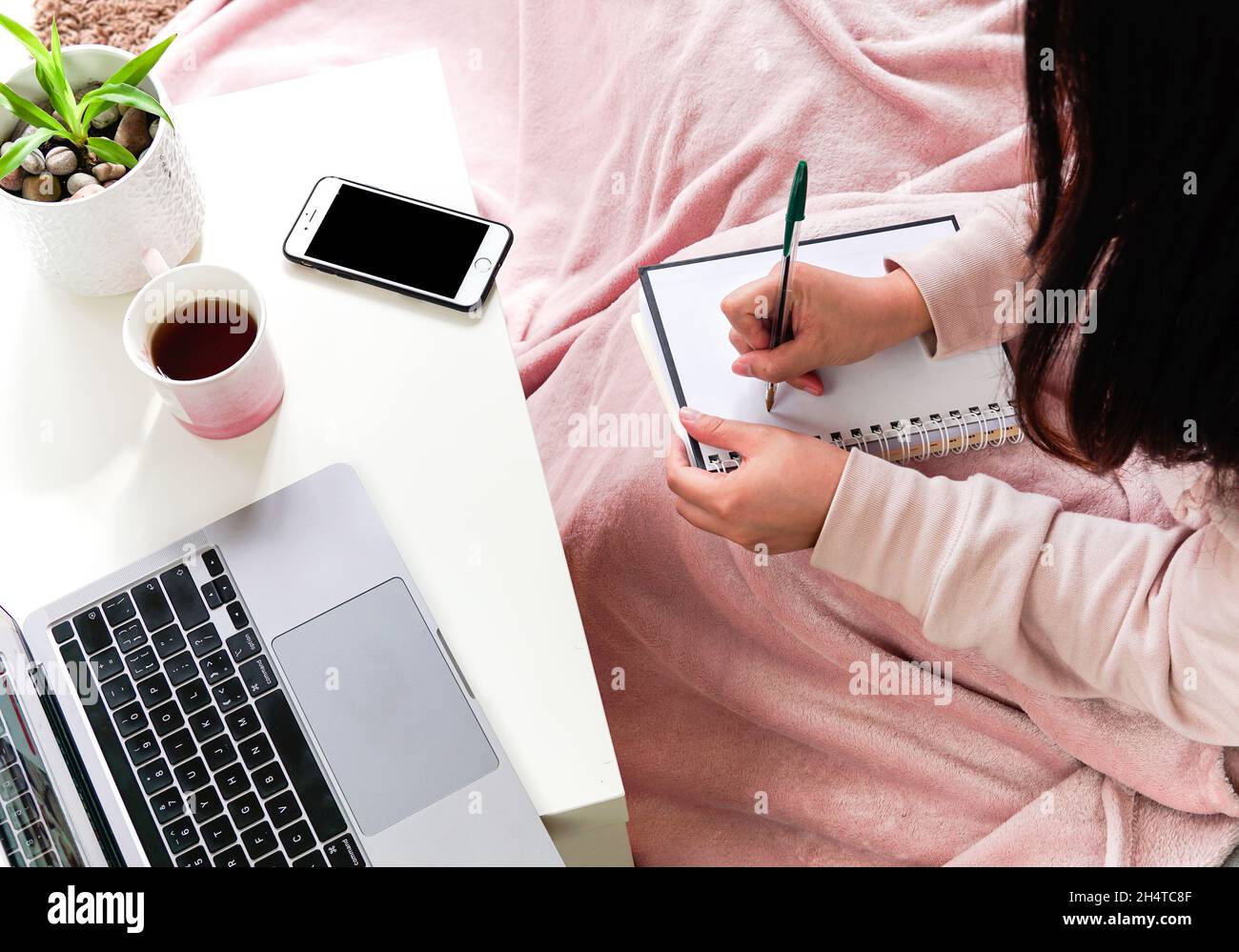 Femme couvrant couverture rose assis sur un canapé prenant des notes sur un ordinateur portable sur une table. Apprendre ou travailler à la maison. Banque D'Images